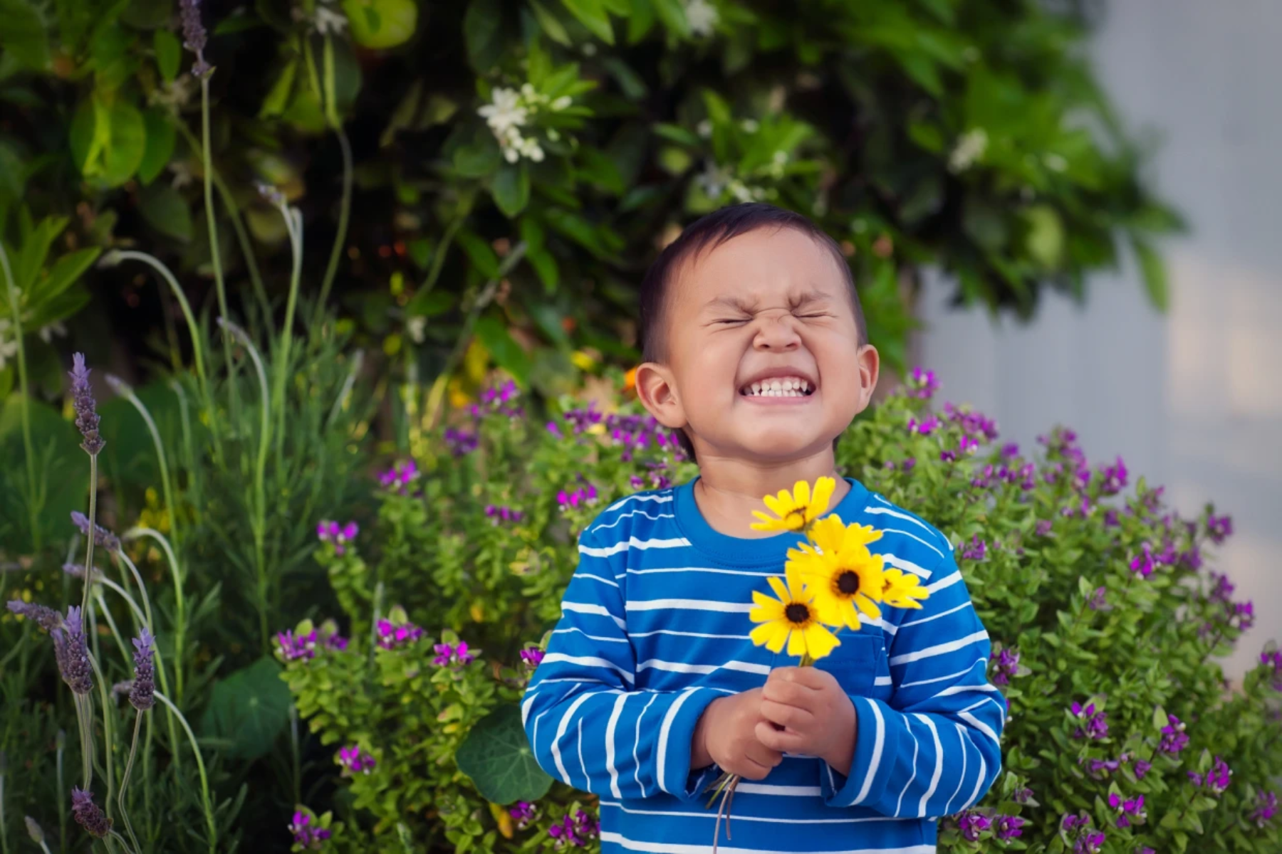 small child with a super big grin holding sunflowers in front of a purply-flowered bush.