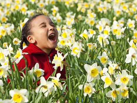 Picture of a child sitting in a field of daffodils