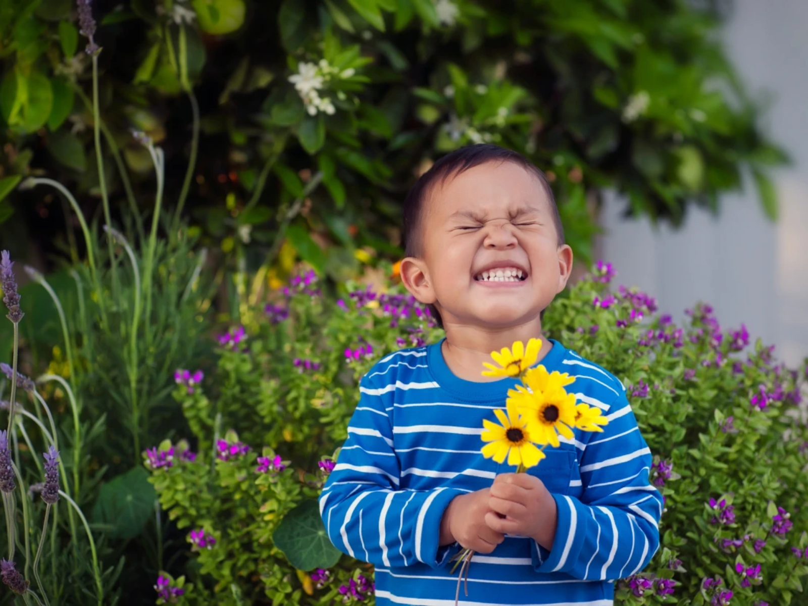 small child with a super big grin holding sunflowers in front of a purply-flowered bush.
