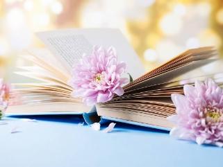 an open book with carnations in the pages like a bookmark.